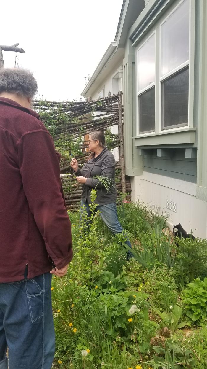 Jocelyn talkin Goat's Beard and Chive Blossoms