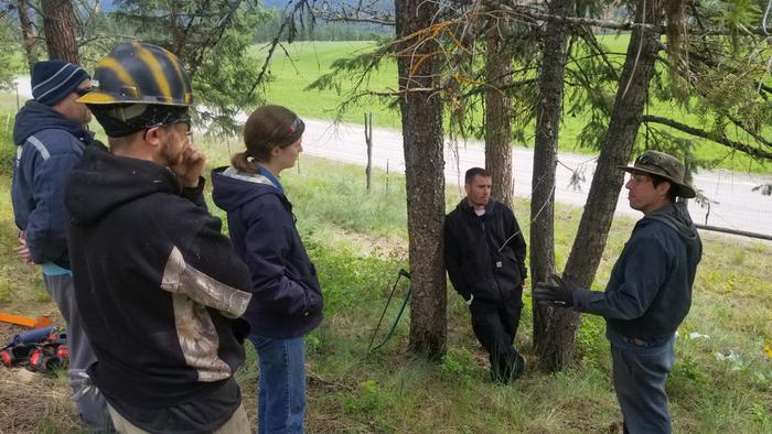 Fred explaining tree felling