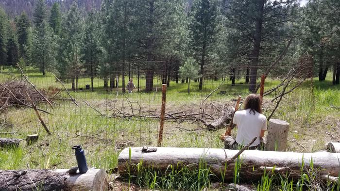 Mike and Justin helped Jeremy and I set up this fence last weekend