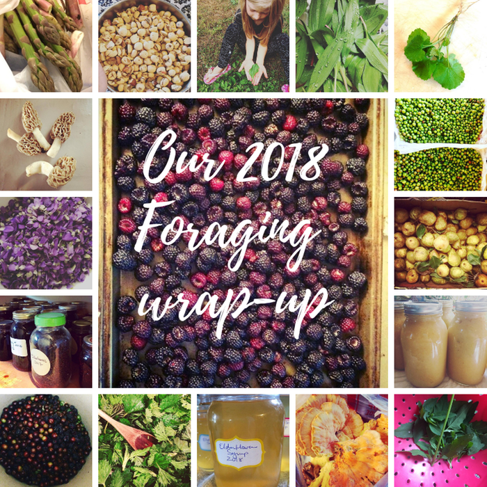 [Thumbnail for Our-2018-foraging-wrap-up.png]