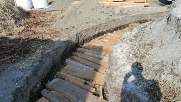 [Thumbnail for CIMG1844.JPG]