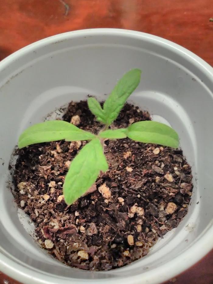 [Thumbnail for IMG_20190224_132814.jpg]