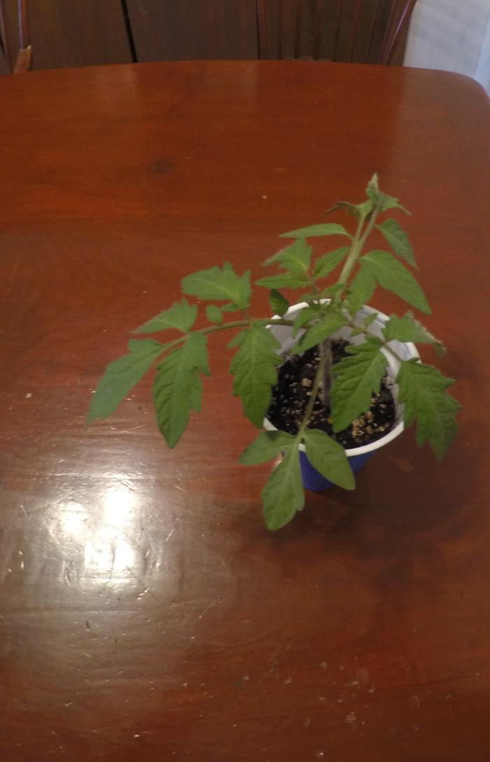 [Thumbnail for GOPR9870-(2).JPG]