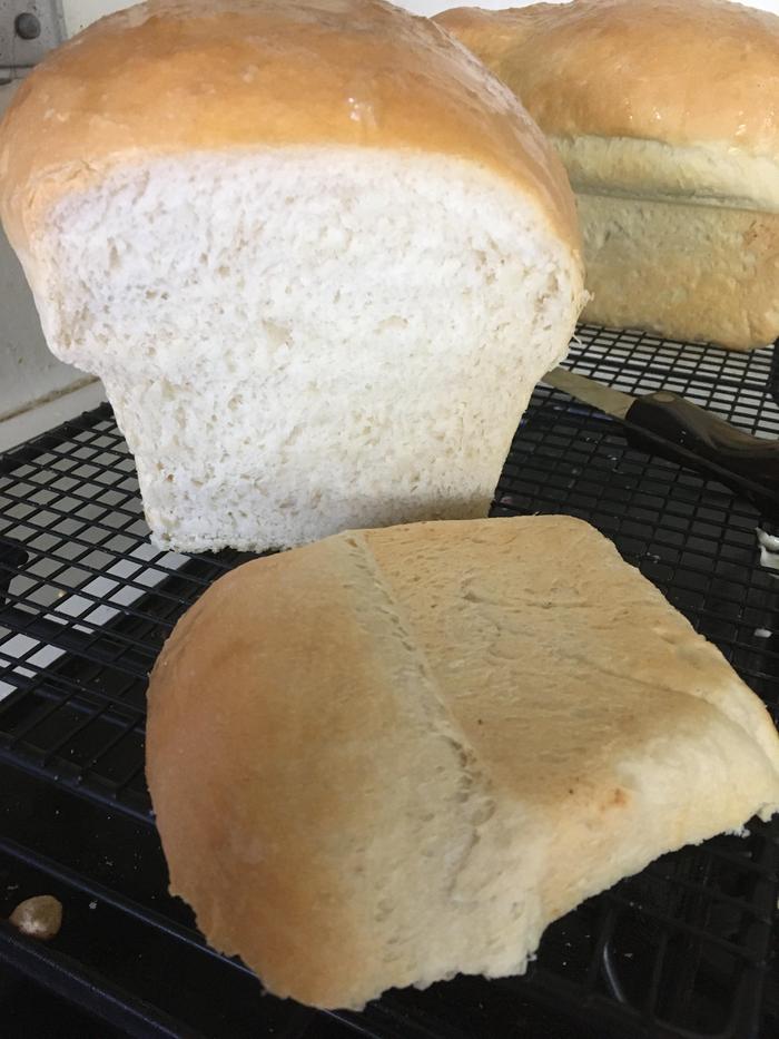 Julia Child White Sandwich Bread-Lucia's finished loaves