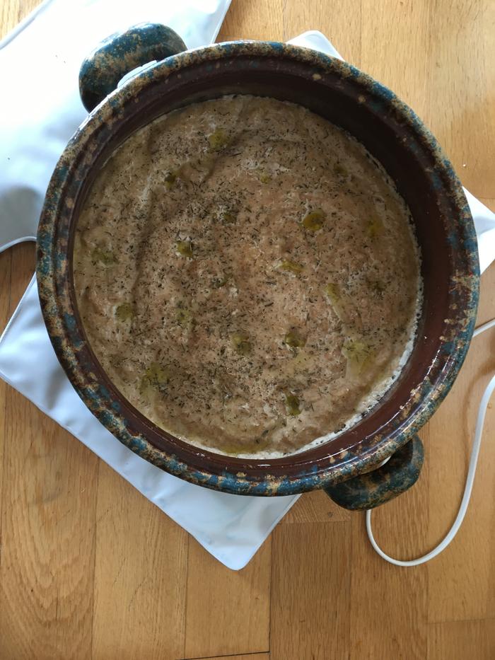 1st loaf: risen bread in dutch oven on trivet over heated pad