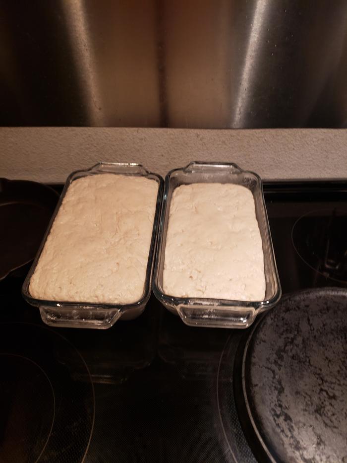 pan and let rise