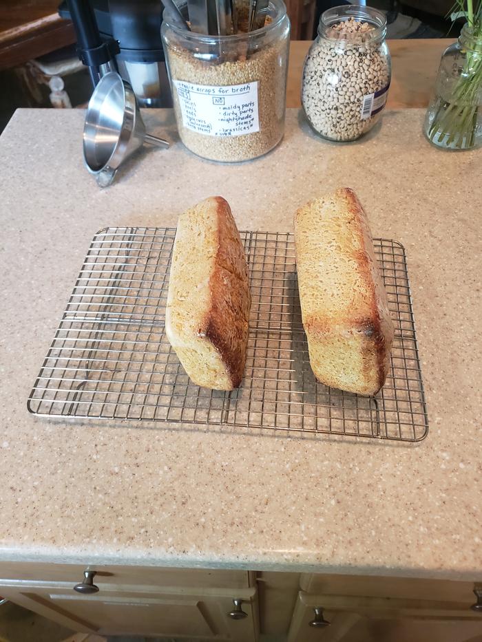 Let cool and show they're not burnt