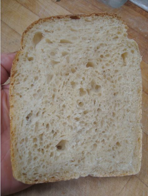 [Thumbnail for 1-bread-10.JPG]