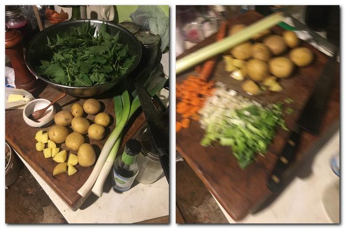 Most the ingredients and a blurry photo mid chopping