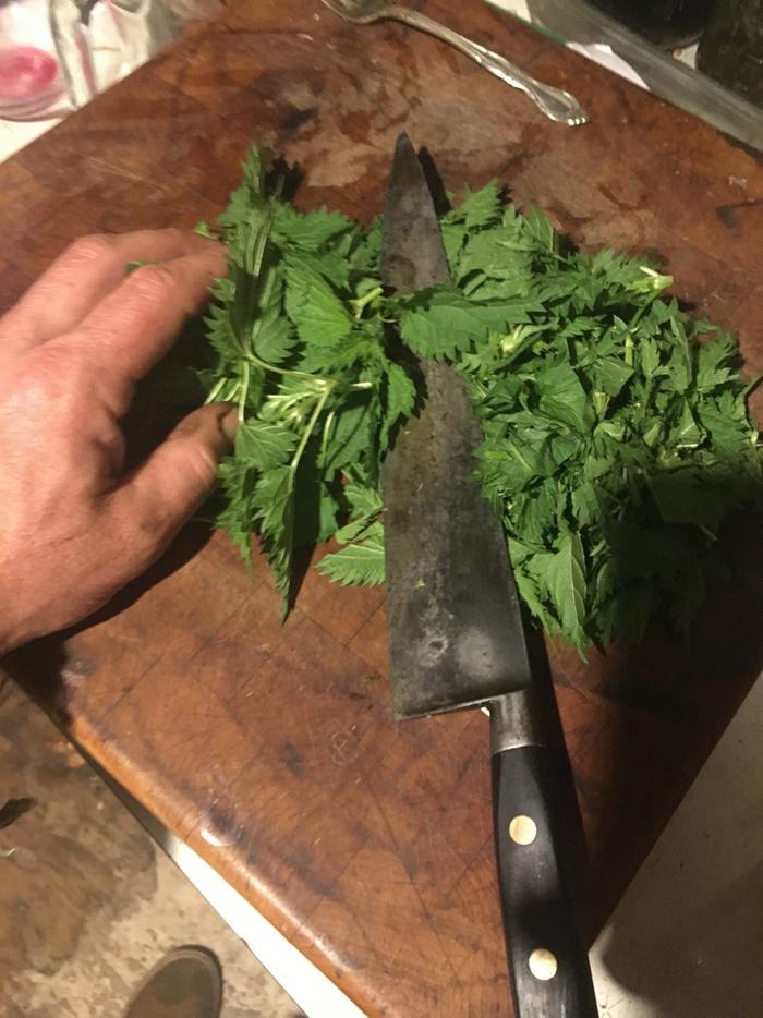 chopping nettles