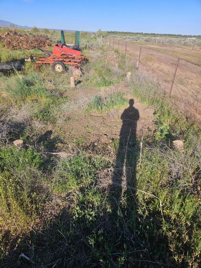 Spot marked out by cord wood. Facing south