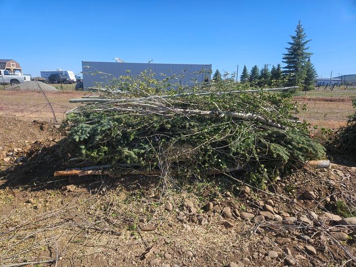 Fat pile of logs