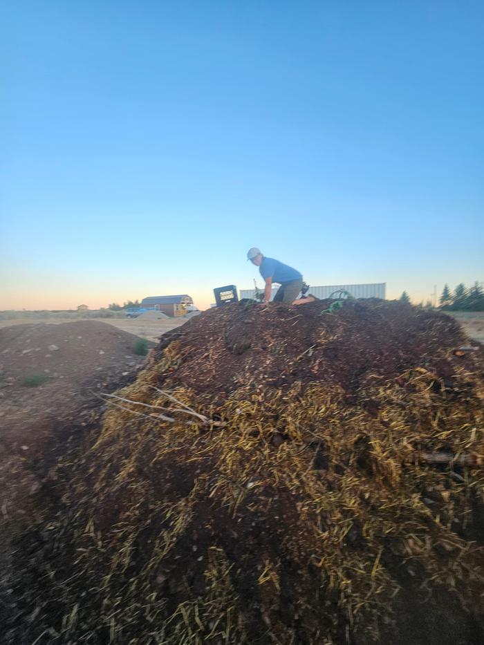 Rabbit bedding mulch and getting planted out