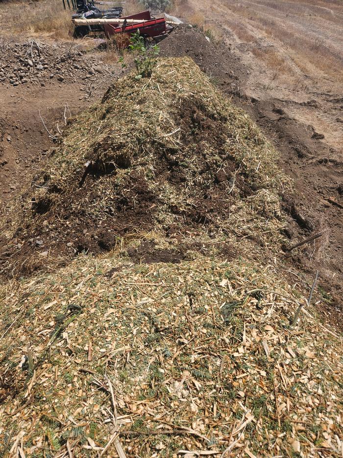 Final bed, facing east