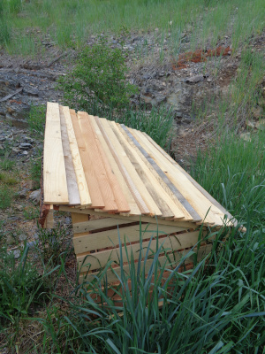 example very small roof
