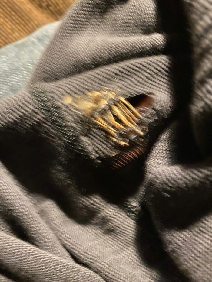 In progress (sorry for blurry!)