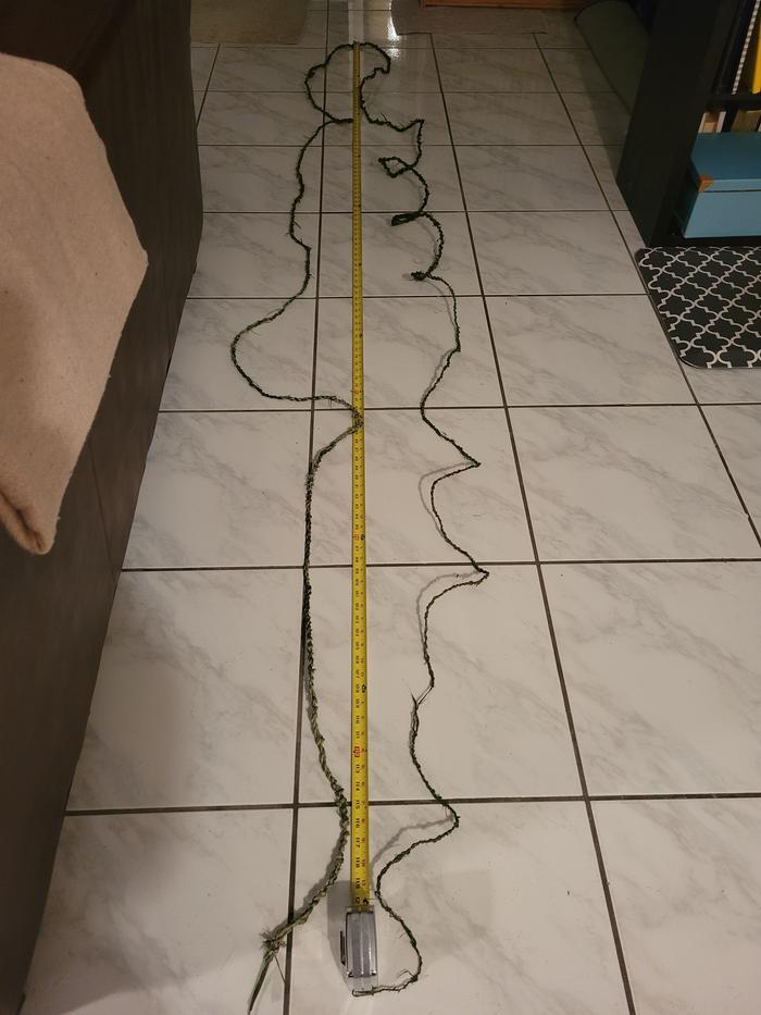 10' tape measure, more than down and back, including coils I can't straighten out