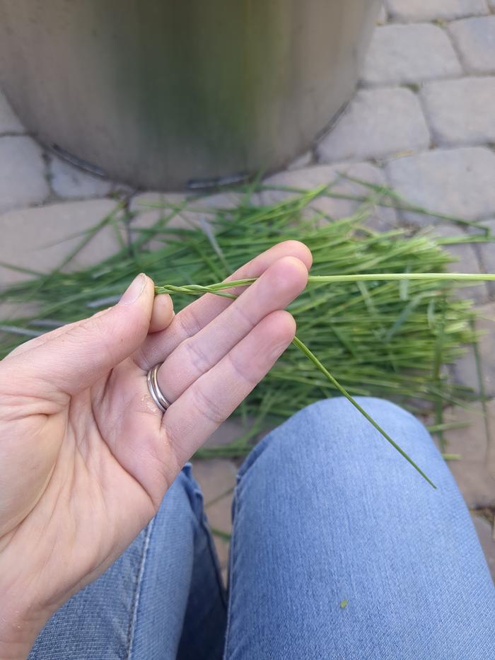 First attempt was a thin twine.