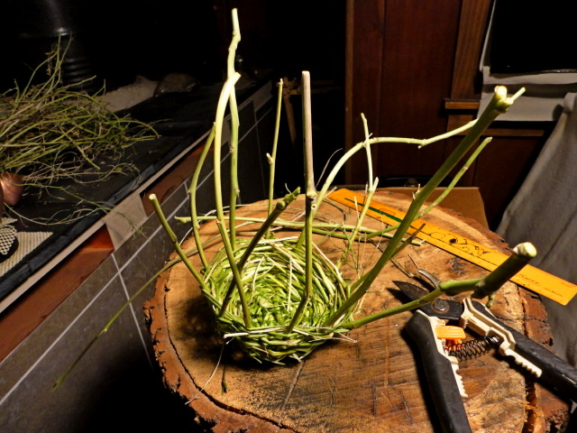 The basket partway through the weaving.