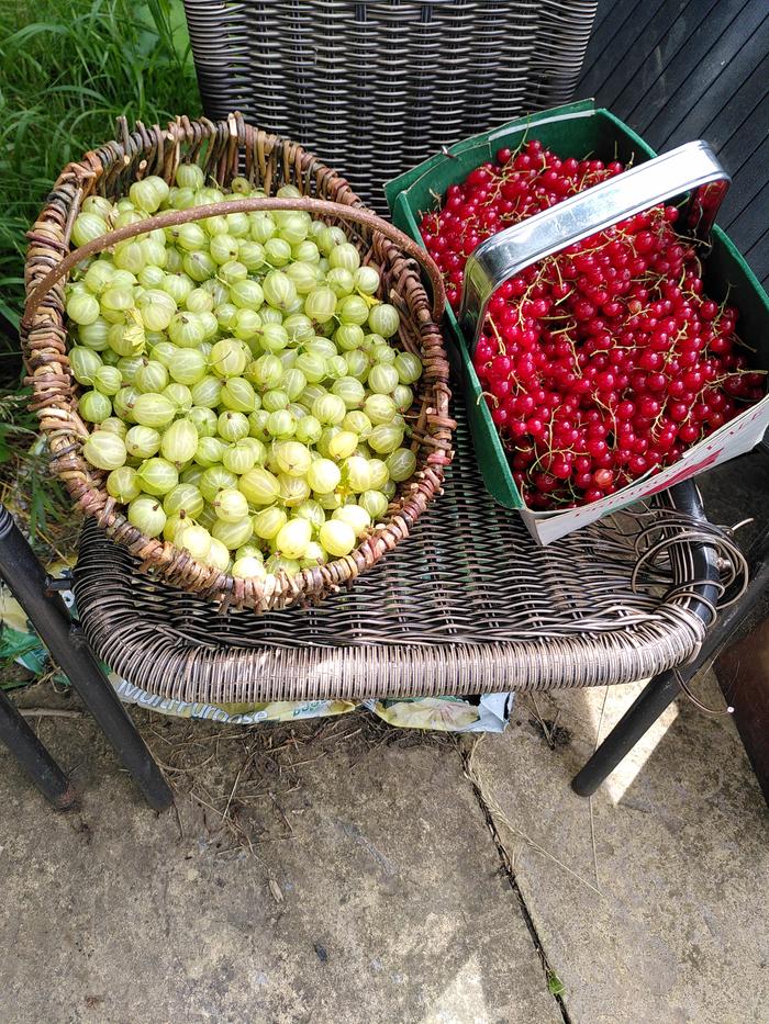 basket in use