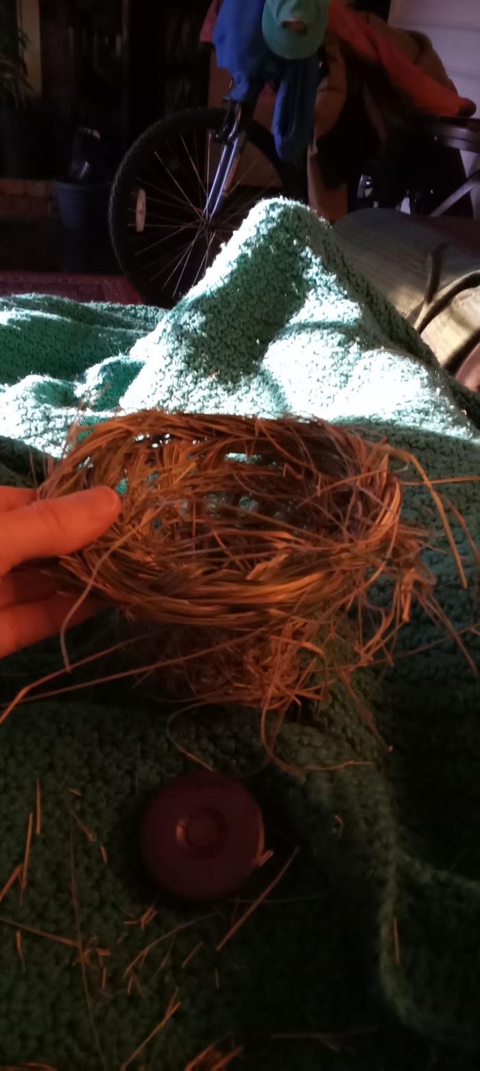 Finished birds'nest basket