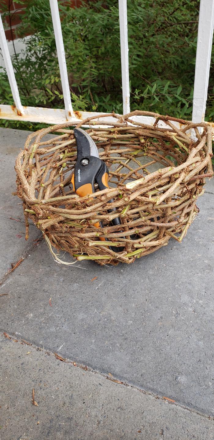 Finished basket with cutters for scale