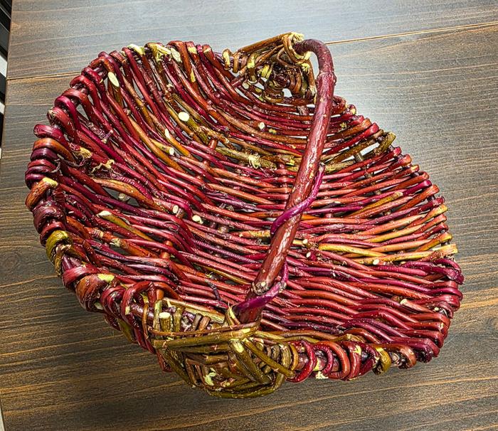 [Thumbnail for 20260412_215800.jpg]