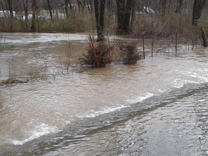street in back of property water flowing towards friend's farm but ditch picks up before
