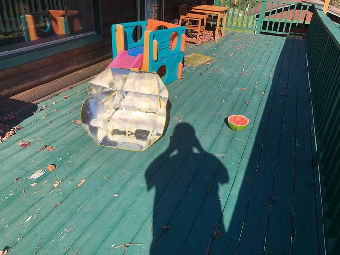 The dehydrator is left of my shadow. The melon to the right is wasp-bait to keep them off my apples. 