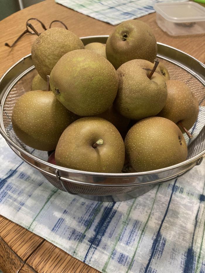 fruit before cutting