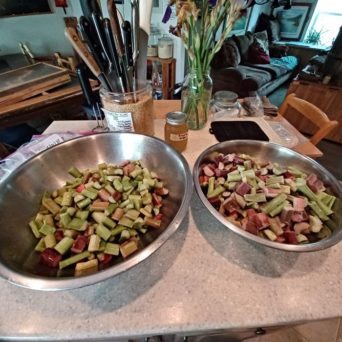 [Thumbnail for rhubarb-in-bowl.jpg]
