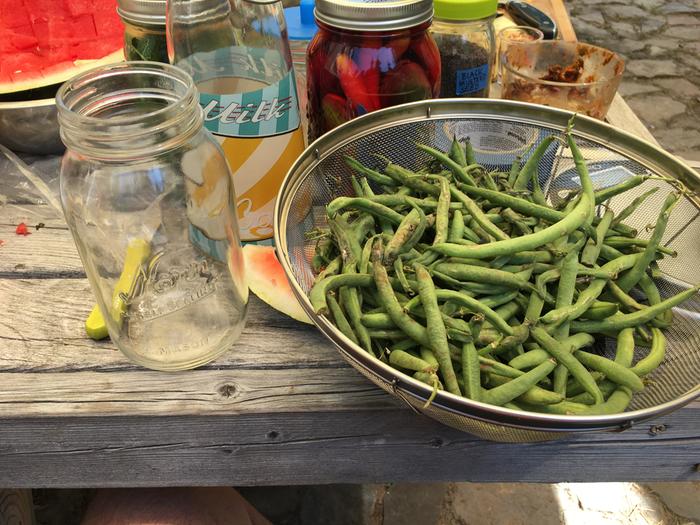 Prepping washed beans