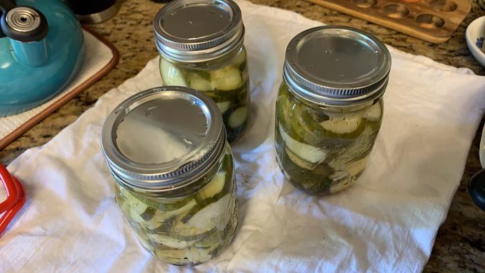 [Thumbnail for 2021-07-vinegar-brine-7-pickles-done.jpg]