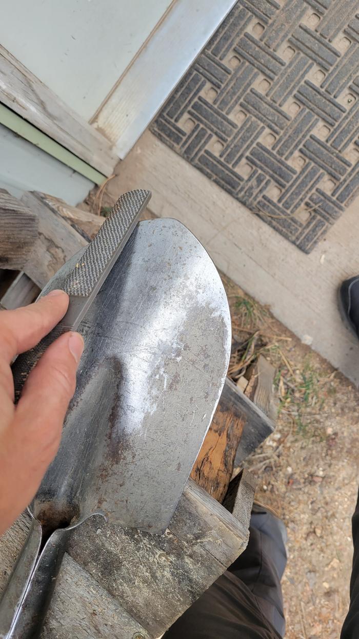 Action! Filing to edge