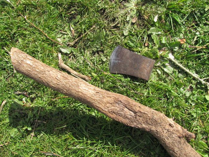 The hatchet head needing a handle & the wood I chose to make it out of (dried Griselinia littoralis)