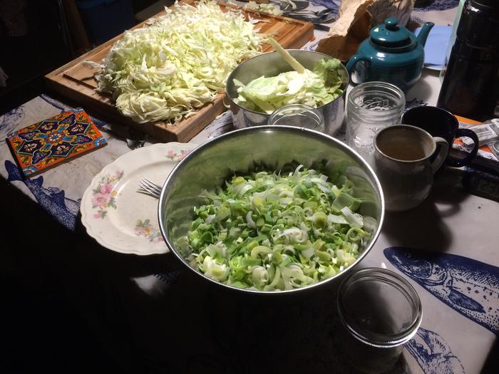 Cut up leeks