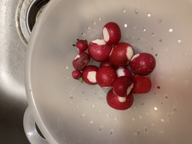 Wahsed, topped, and tailed radishes (some of them)