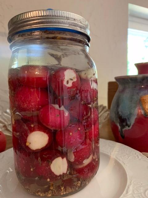 Radishes in the jar awaiting their transformation to awesomeness 