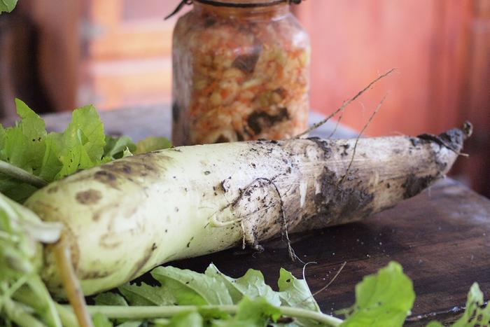 giant daikon (not the one I used today)