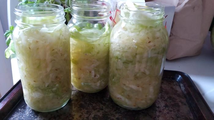 cabbage in jars