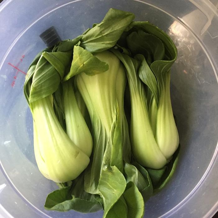 bok choy ready to be soaked