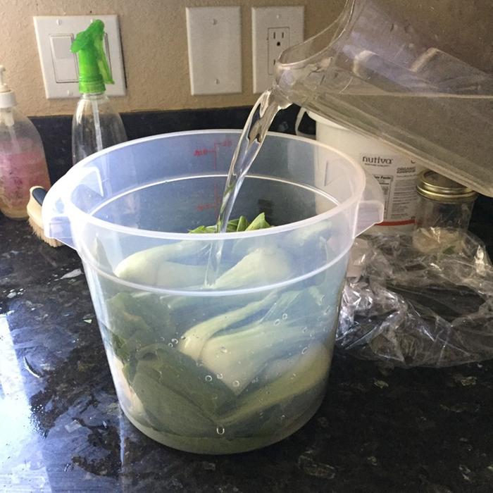 pouring brine over bok choy