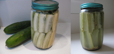 In the jar, before and after fermentation