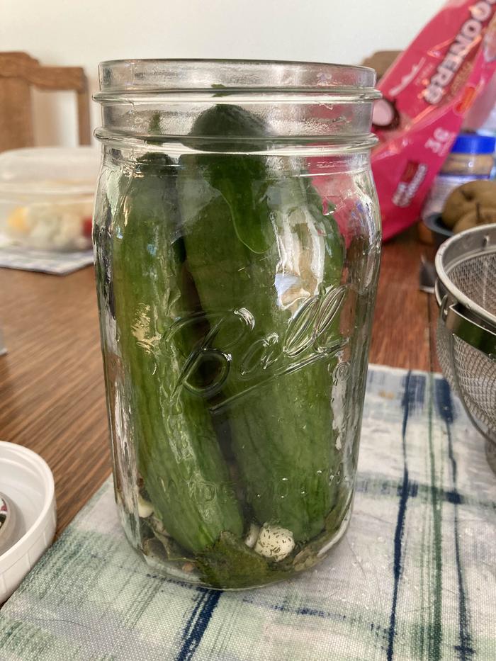 cucumbers and spices in the jar