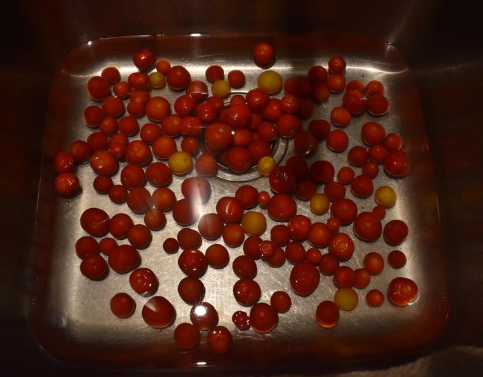 Stem and wash the tomatoes