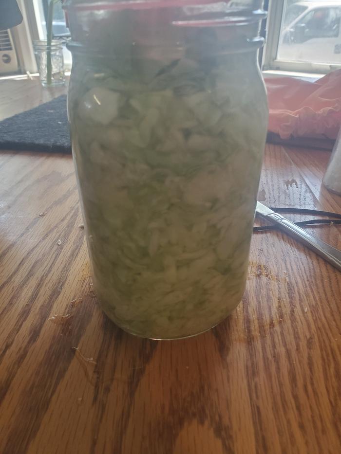 Cabbage in a jar