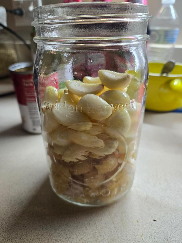 [Thumbnail for 20251212_153137.jpg]