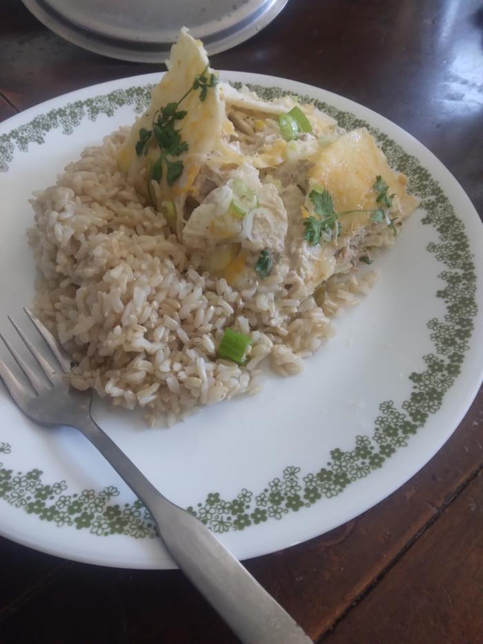 brown rice and rabbit enchiladas!