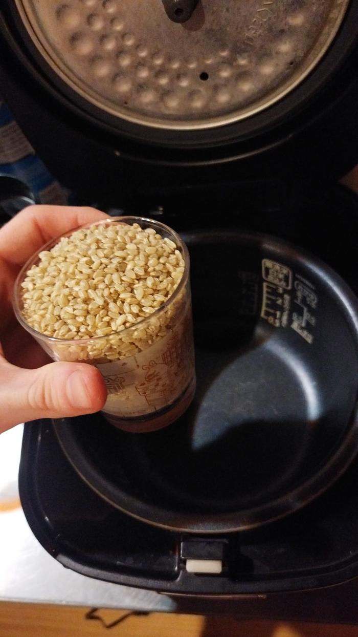 1 cup of rice
