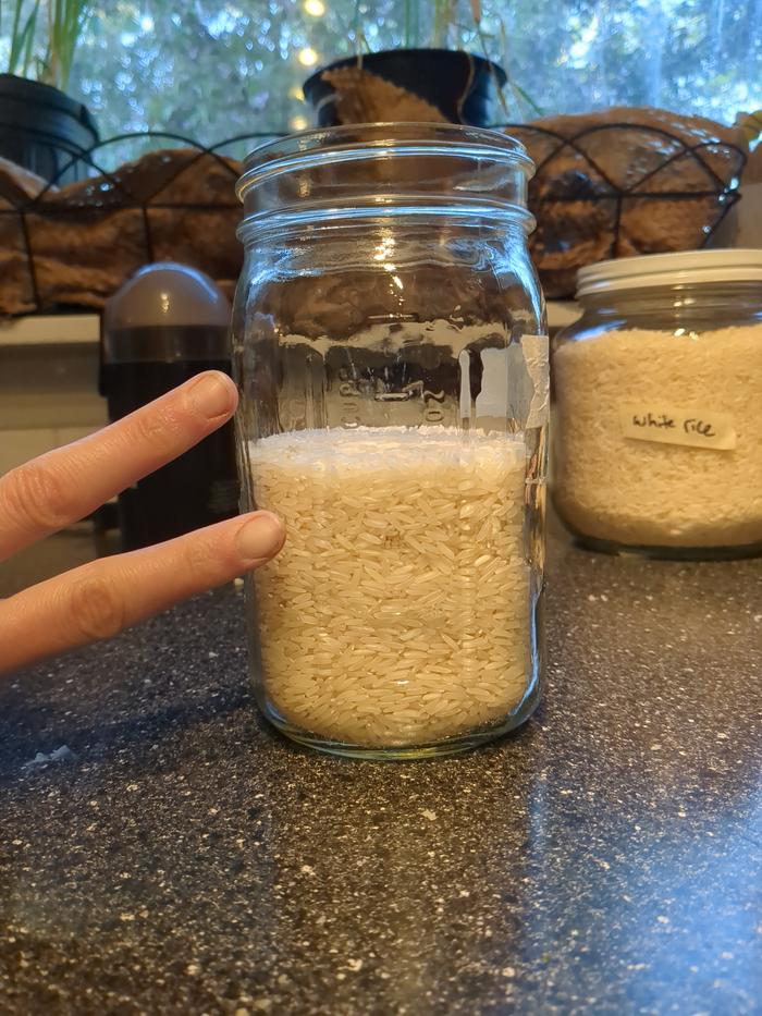 2 cups white rice fermenting in water for several days.